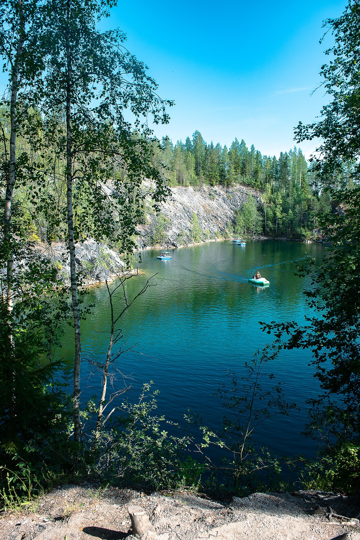 Карелия. Фотограф-анималист Наталья Светличная