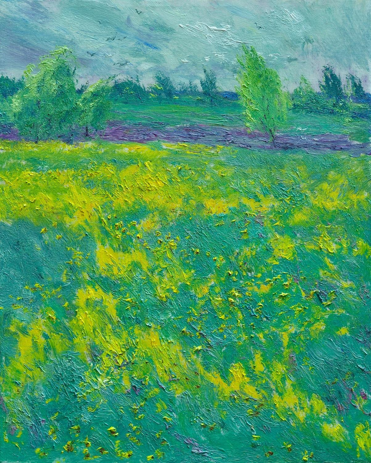 "Цветущая сурепка" холст, масло, 50x40см., 2012 год