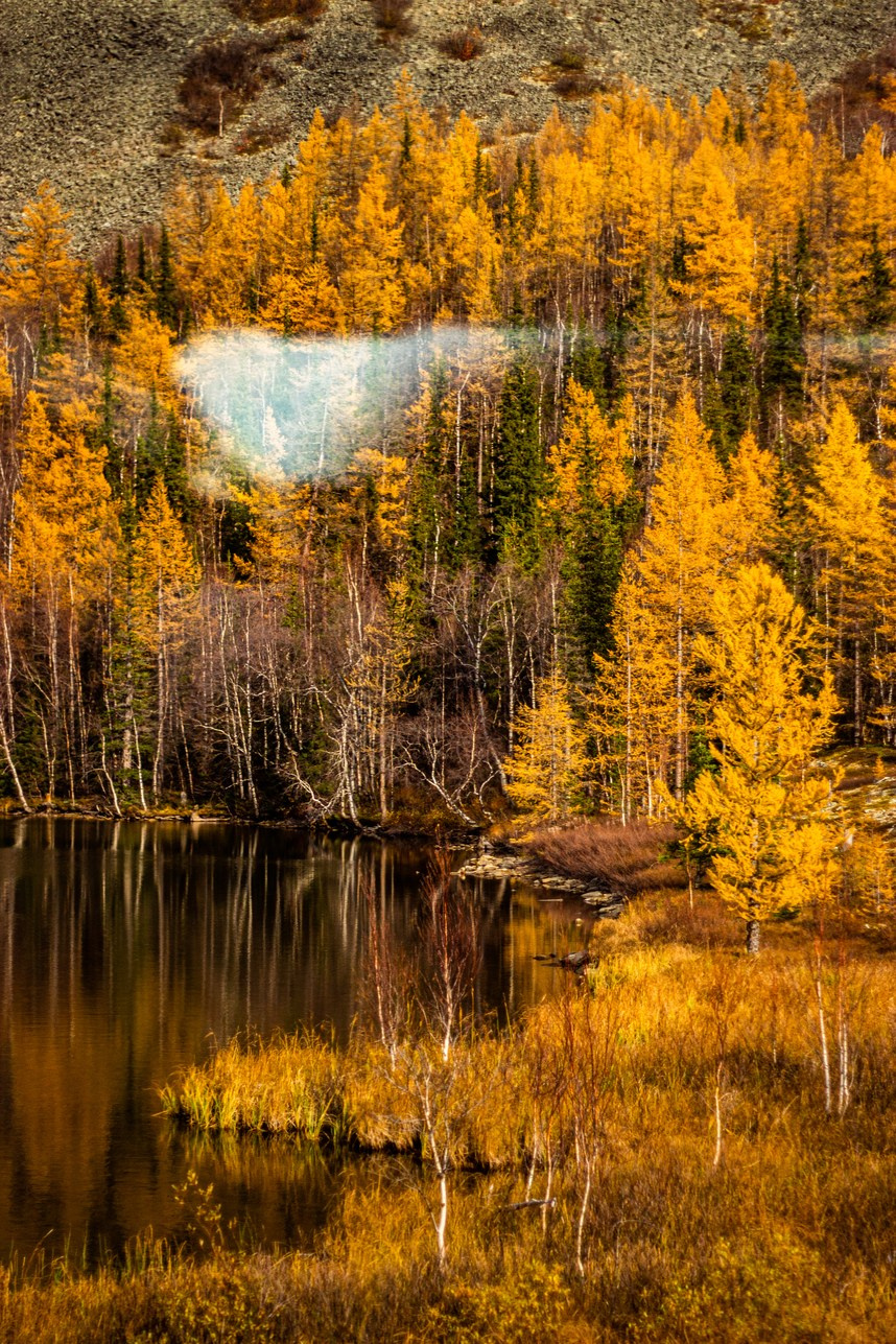 Станция Собь. Фотограф Екатерина Зорина