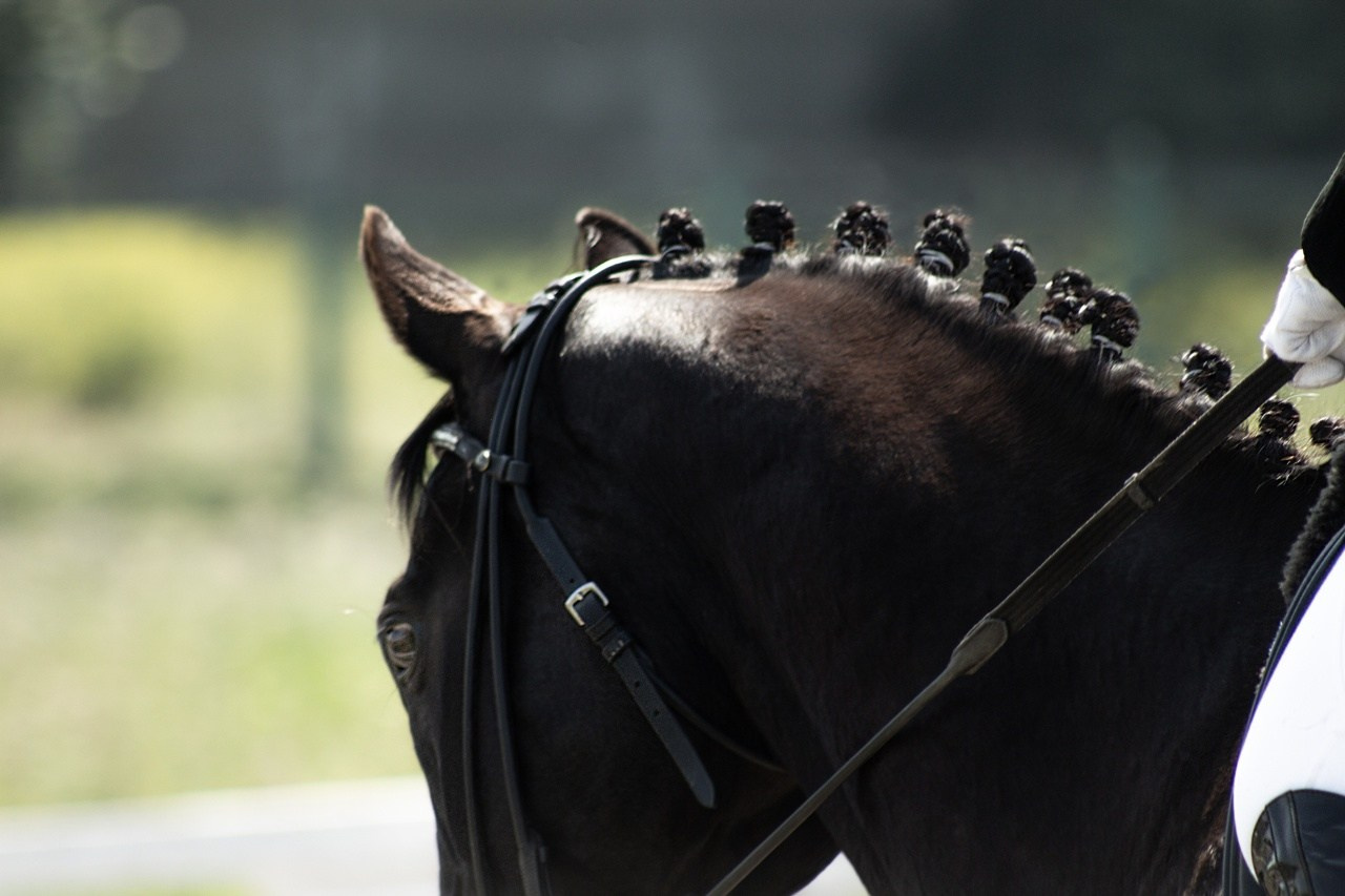 Соревнования. Фотограф в Иркутске, Харитонова Елизавета