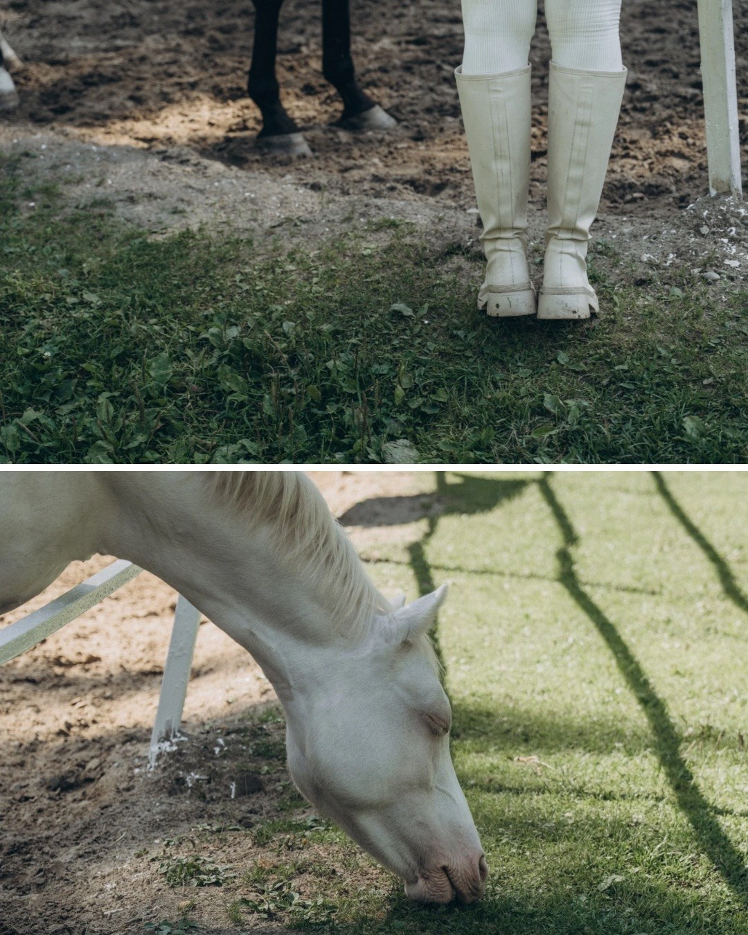 Портфолио. Контент-креатор | Кристина Щербакова