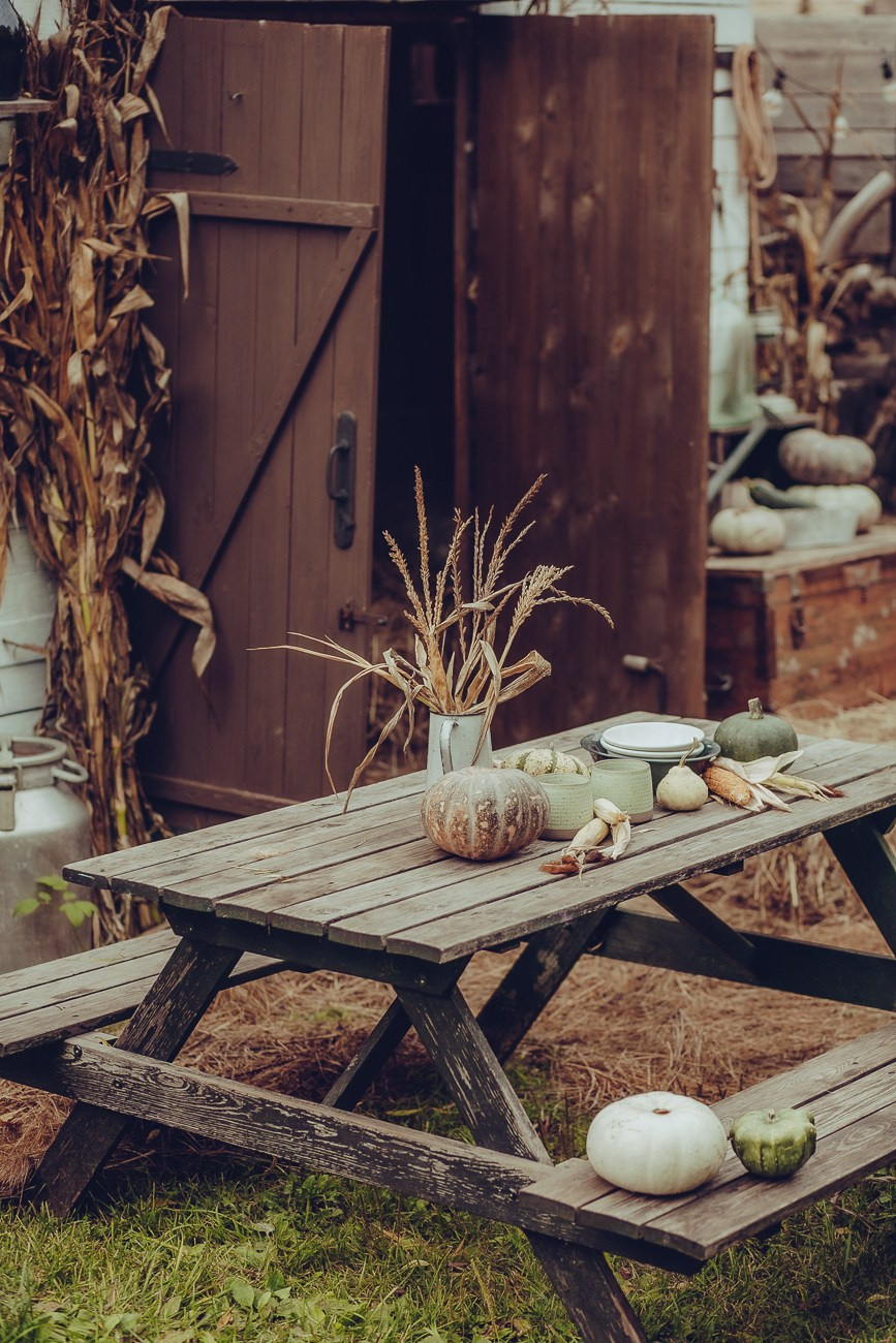 ЛИЗА И ЕЛИСЕЙ. Фотограф Дарья Хрипач