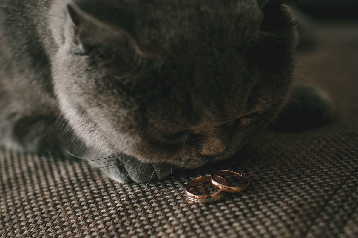 Обручальные кольца