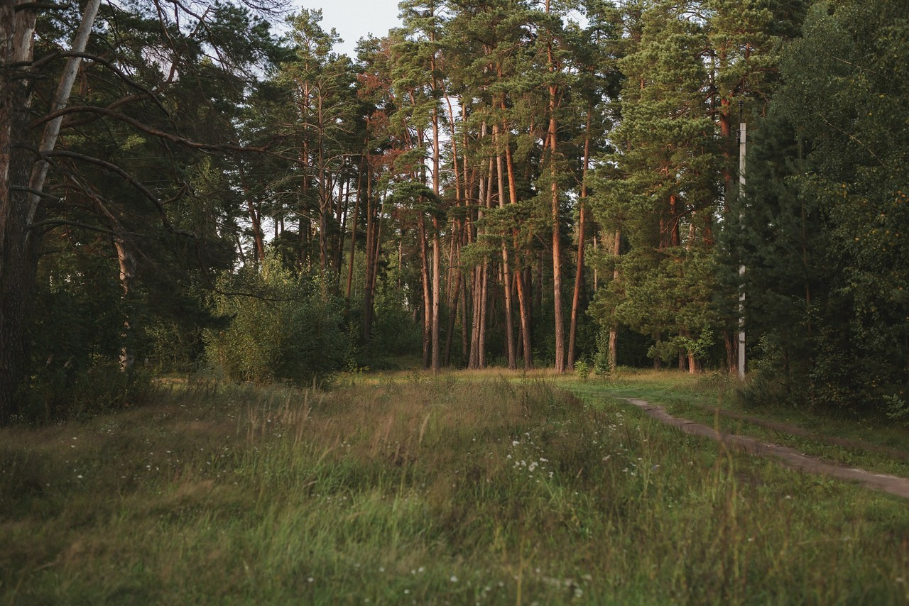 Отзывы. Свадебный, семейный фотограф в Дзержинске, Нижнем Новгороде Наталья Хр