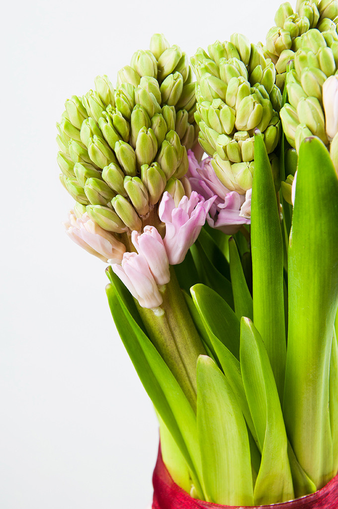 Предметы. Фотограф Светлана Пажильцева