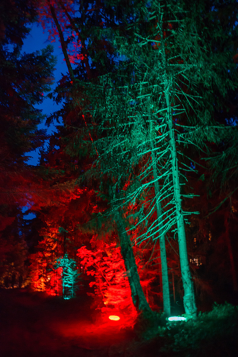 Уличный репортаж. Фотограф Светлана Пажильцева