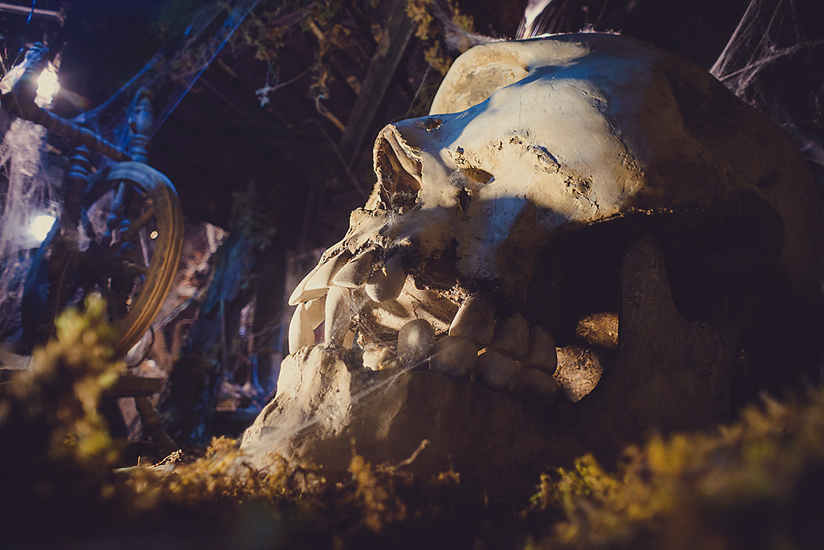 Интерьер. Фотограф Светлана Пажильцева