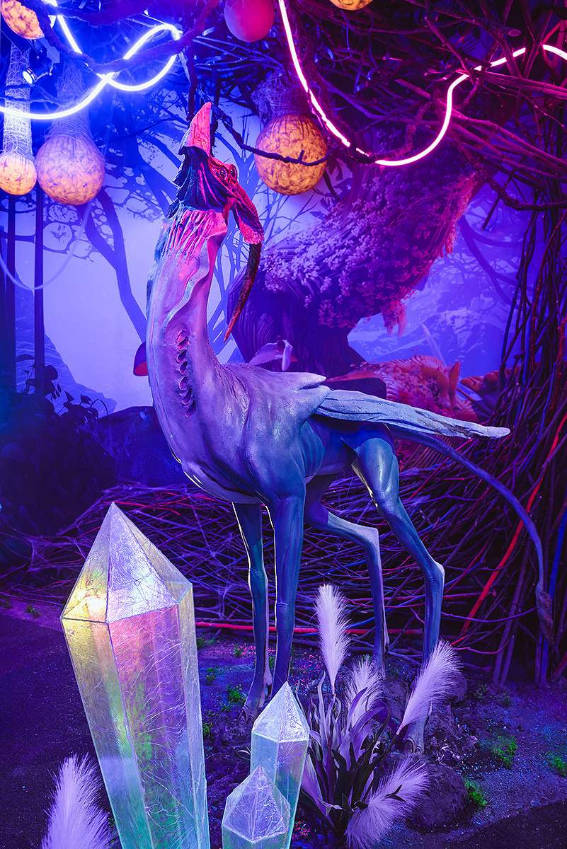 Интерьер. Фотограф Светлана Пажильцева