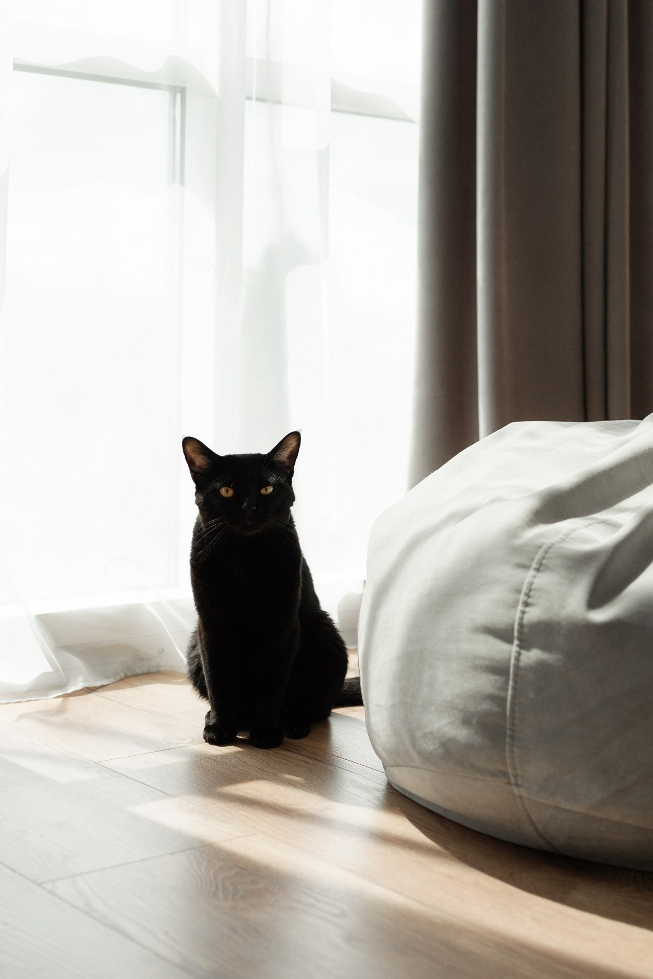 Сергей и Ульяна. Свадебный фотограф в Белгороде Антон Каменев