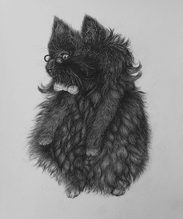 Финч Татьяна Николаевна. Галерея участников Российской Премии Искусств