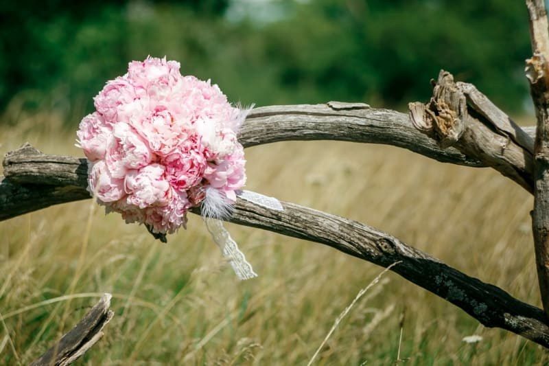 Свадебный фотограф Казань. Фотограф Ильхам Сибгатуллин Казань