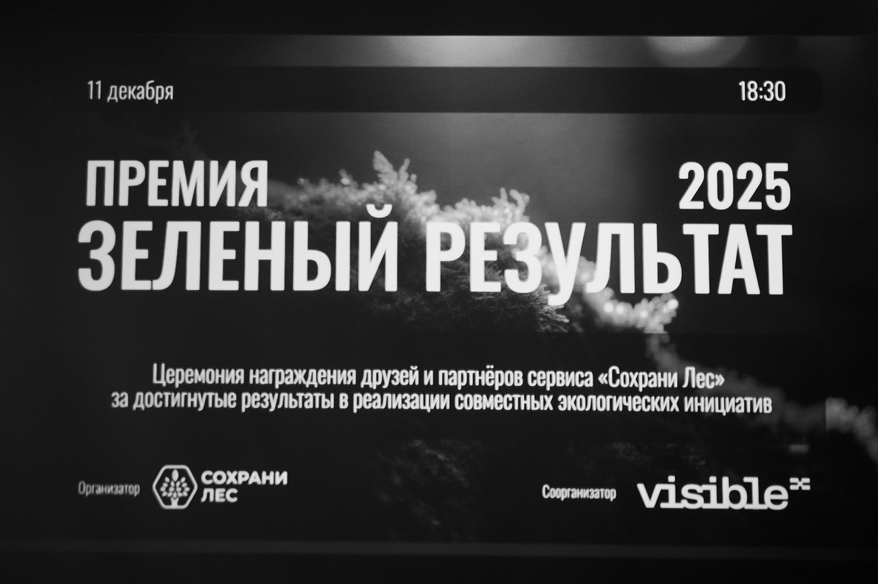 Отзывы клиентов о работе фотографа Артёма Савиных. Артём Савиных — профессиональный фотограф в Москве | Репортажи, свадьбы, портреты