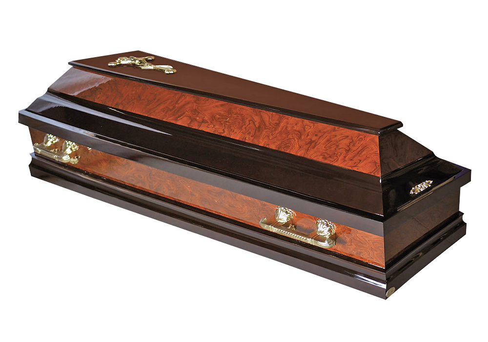 Русский Вяз темный