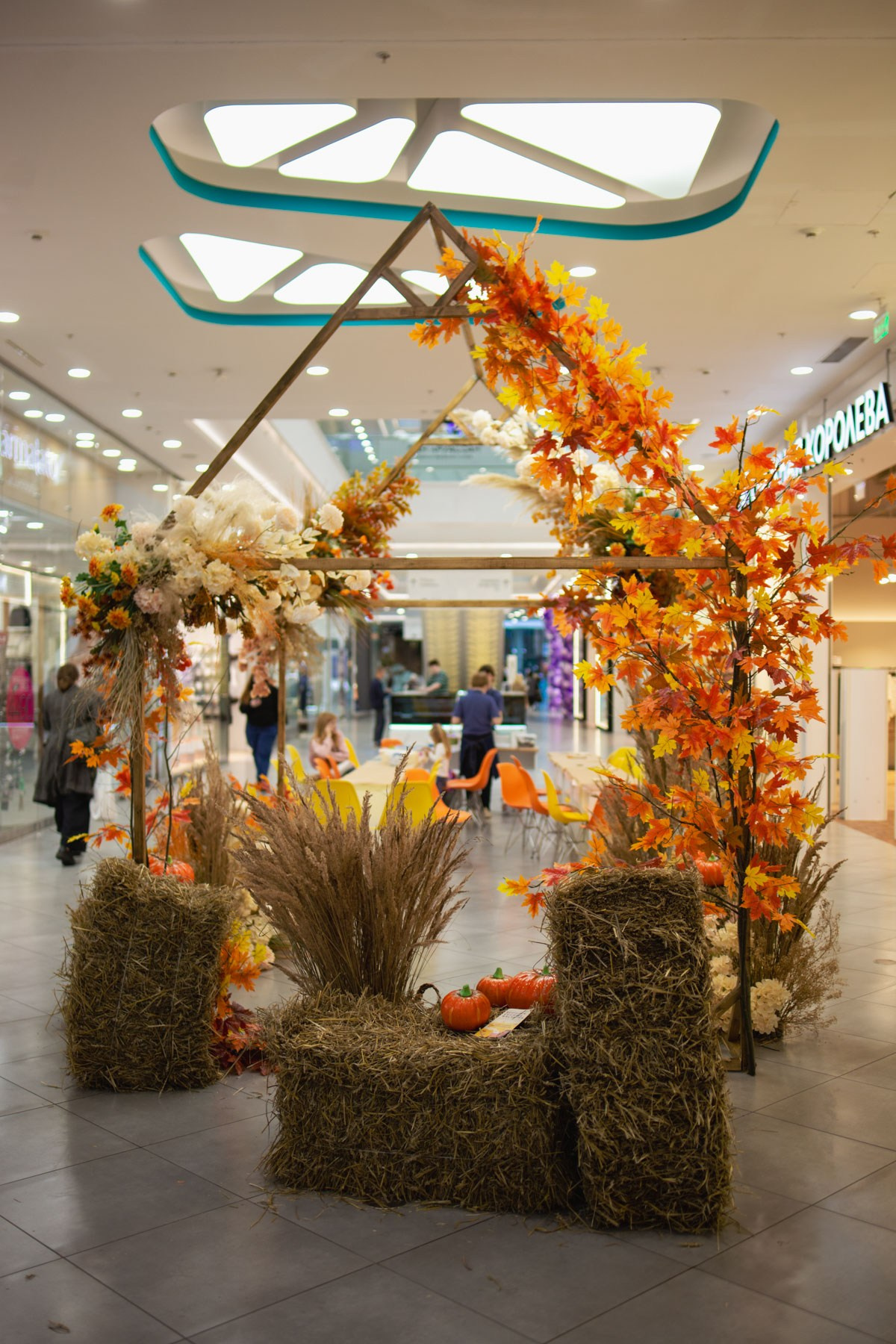 Осеннее чаепитие в ТЦ Хорошо!. Репортажный и концертный фотограф в Москве Анастасия Осень