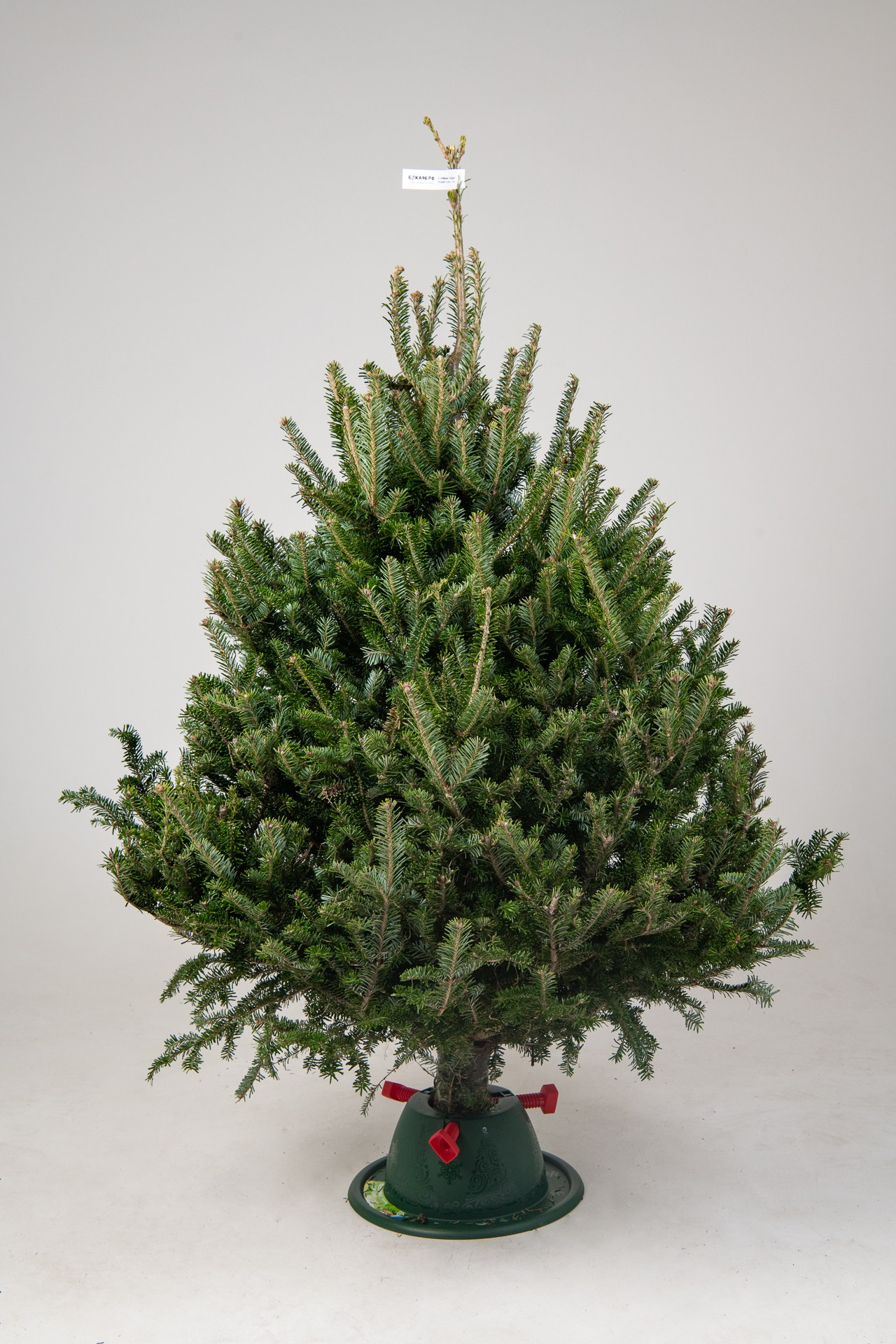 Предметная съемка елок. Фомина Елена Свадебный и семейный фотограф