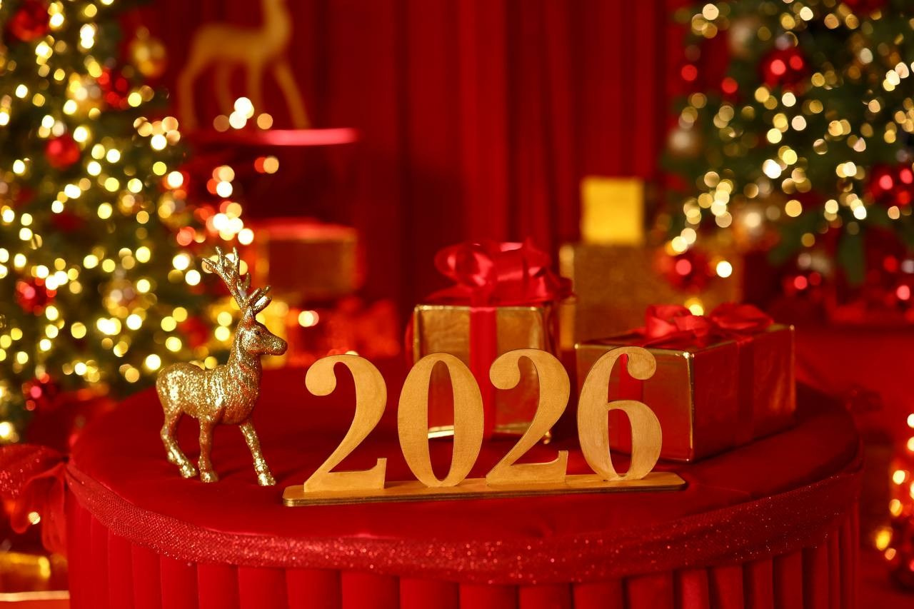 Интерьер фотостудии «Антураж» на Ковалёва, 5. Новый год 2025–2026 гг. Семейный и детский фотограф в Краснодаре Анна Трашкова