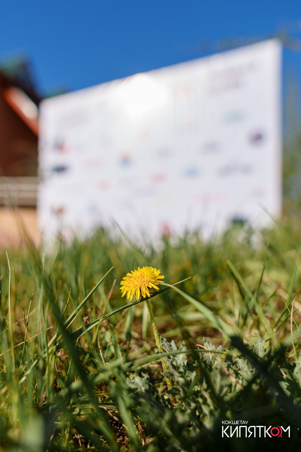 HCB ЗЕЛЕНАЯ АЛЛЕЯ. КИПЯТКОМ КОКШЕТАУ