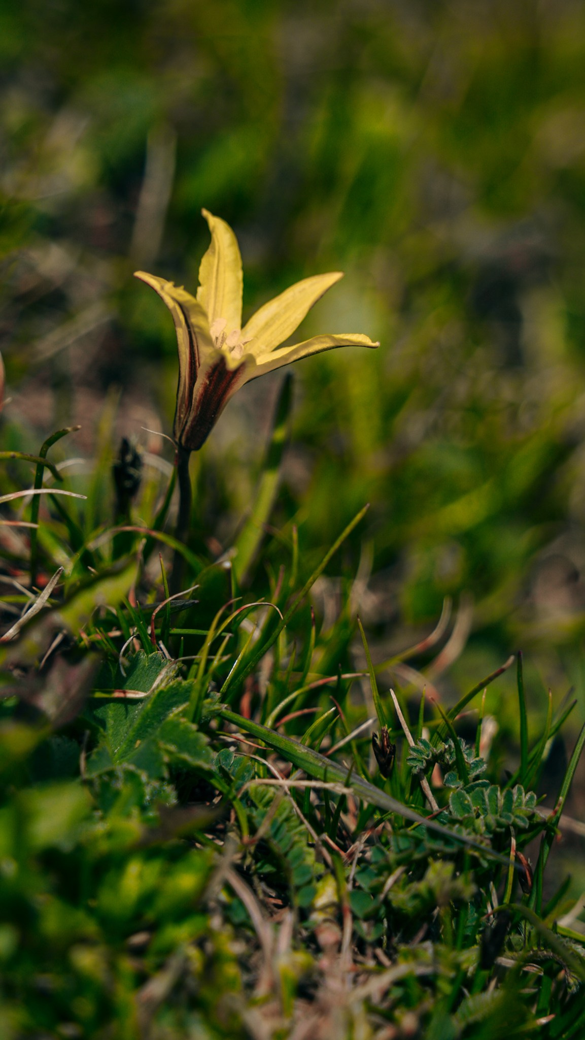 Кыргызстан. Человек с фотокамерой