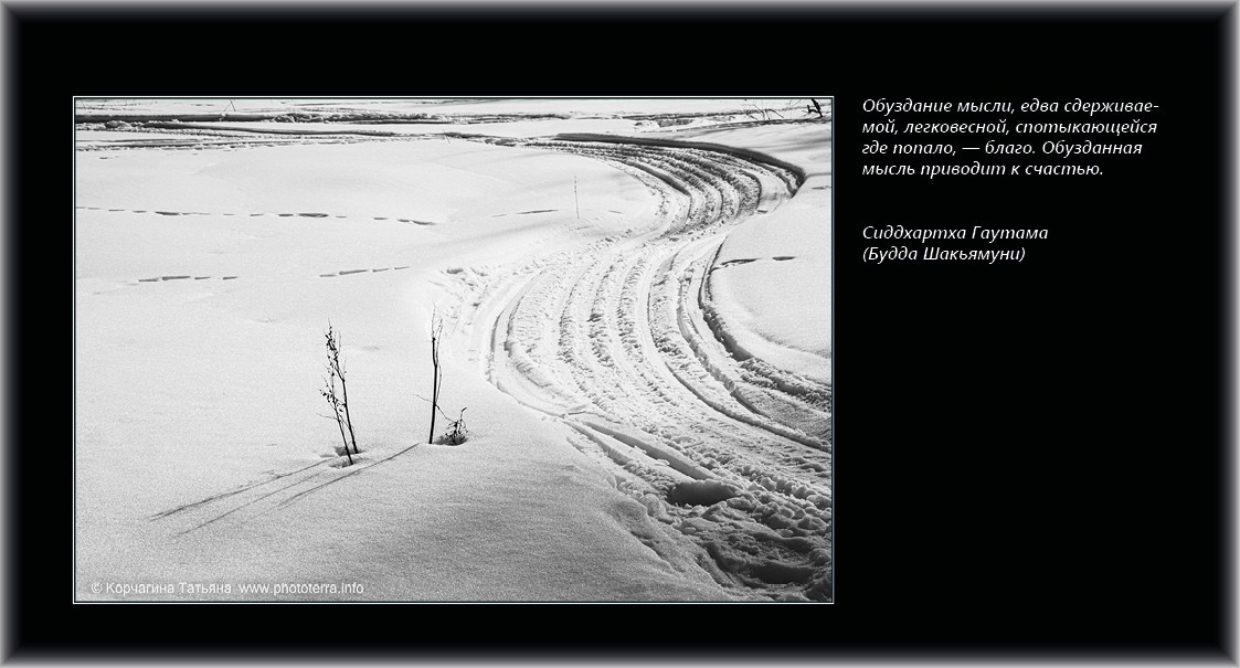 Совет дня — ориентир. Татьяна Корчагина. Фотограф, художник. Обучение фотографии