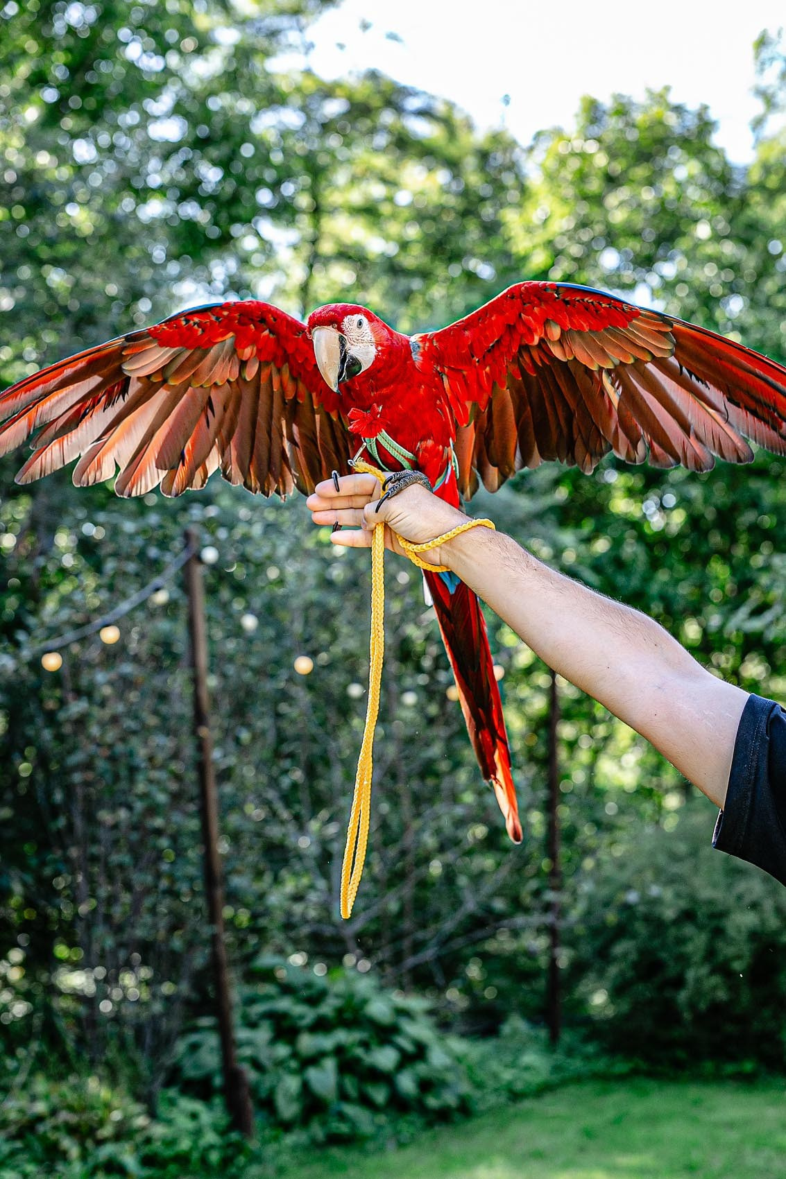 Детский день рождения г Владивосток. Владивосток семейный фотограф Александр Степанов