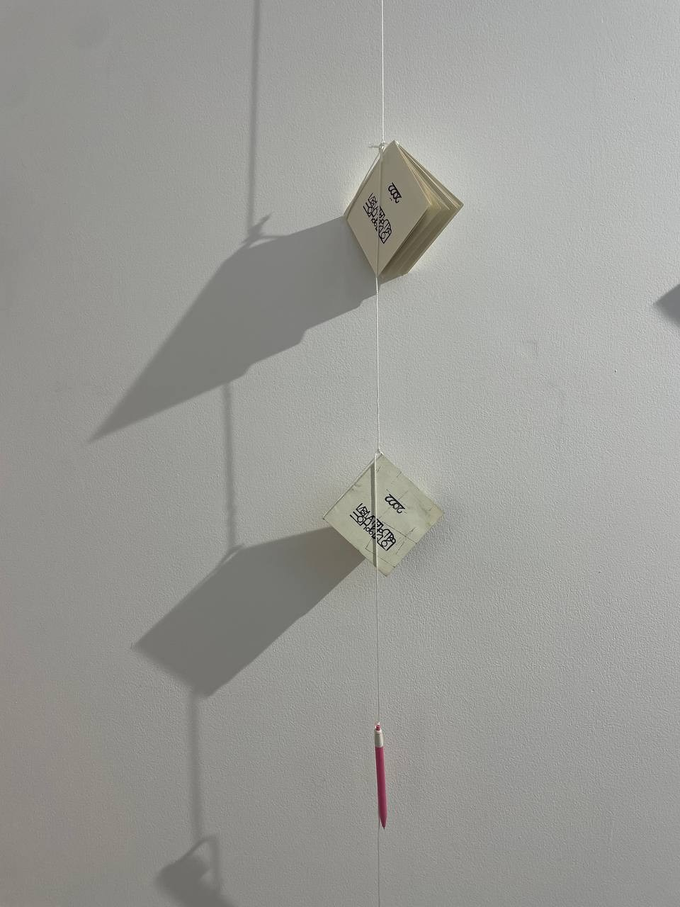 Групповая выставка DARK MATTER, 07-17.12.2024 галерея ONKAF, в Нью-Дели. Лера Круглова