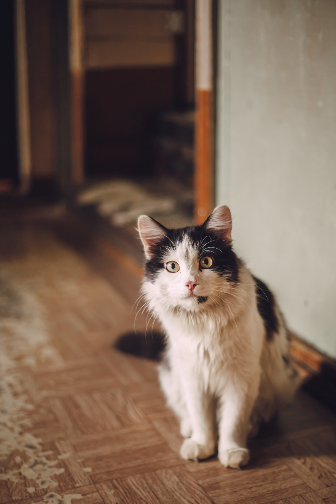 Подарок судьбы в Ульяновске. Фотограф в Ульяновске Елена Орлова