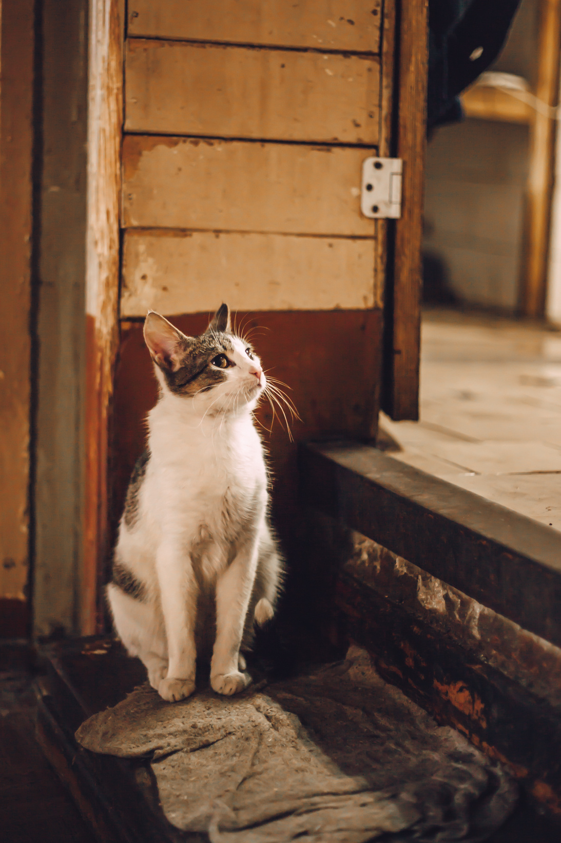 Подарок судьбы в Ульяновске. Фотограф в Ульяновске Елена Орлова