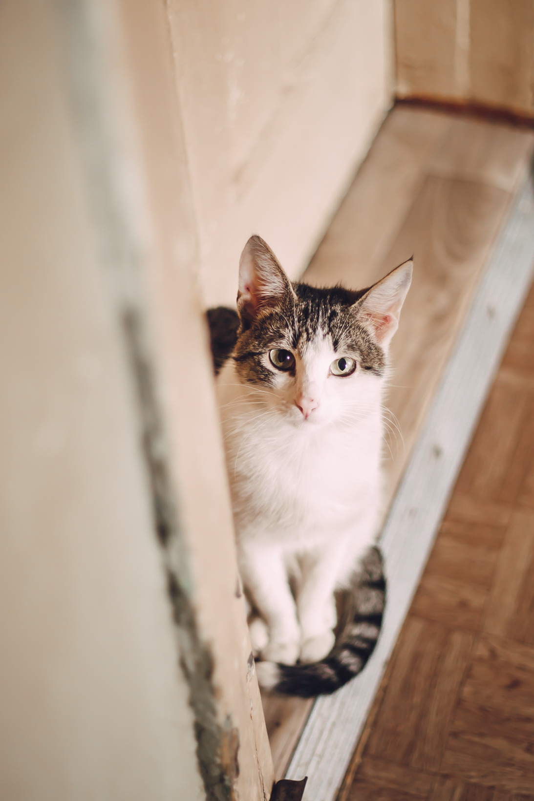 Подарок судьбы в Ульяновске. Фотограф в Ульяновске Елена Орлова