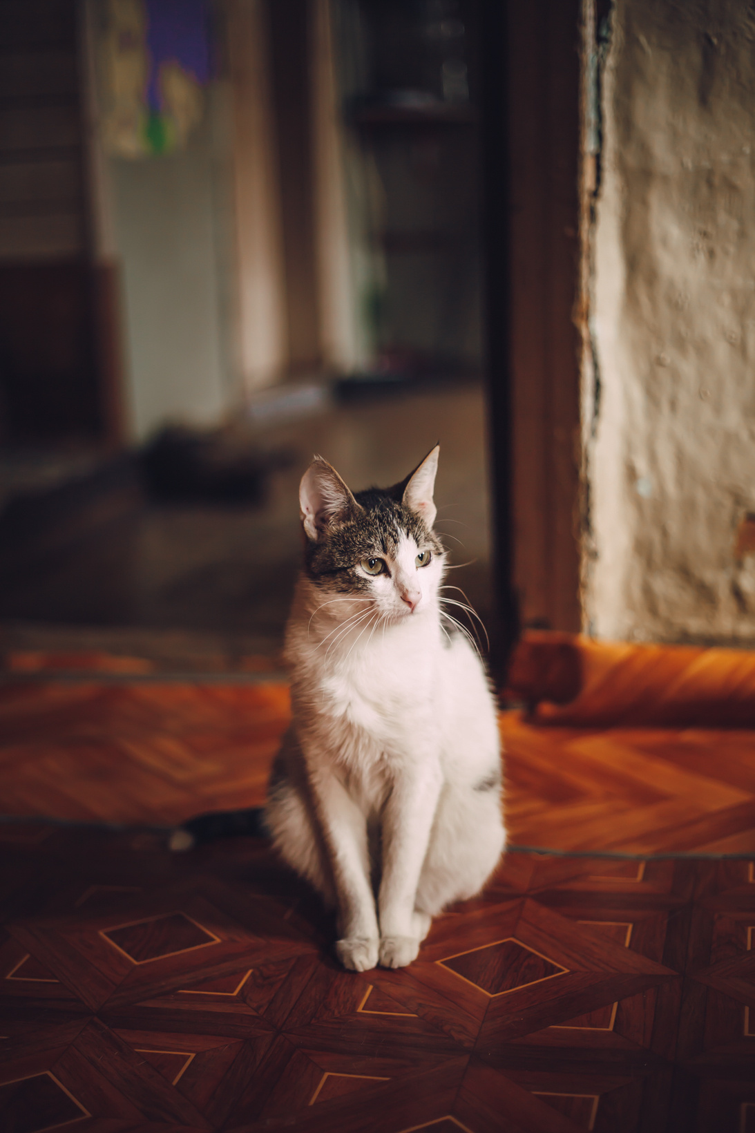 Подарок судьбы в Ульяновске. Фотограф в Ульяновске Елена Орлова