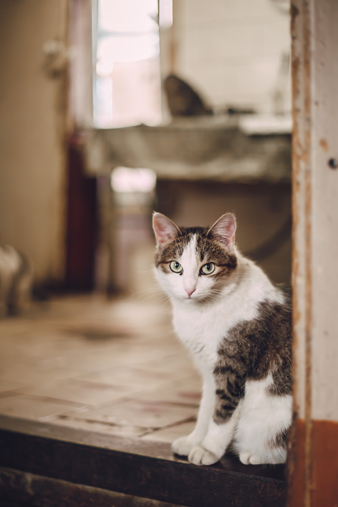 Подарок судьбы в Ульяновске. Фотограф в Ульяновске Елена Орлова