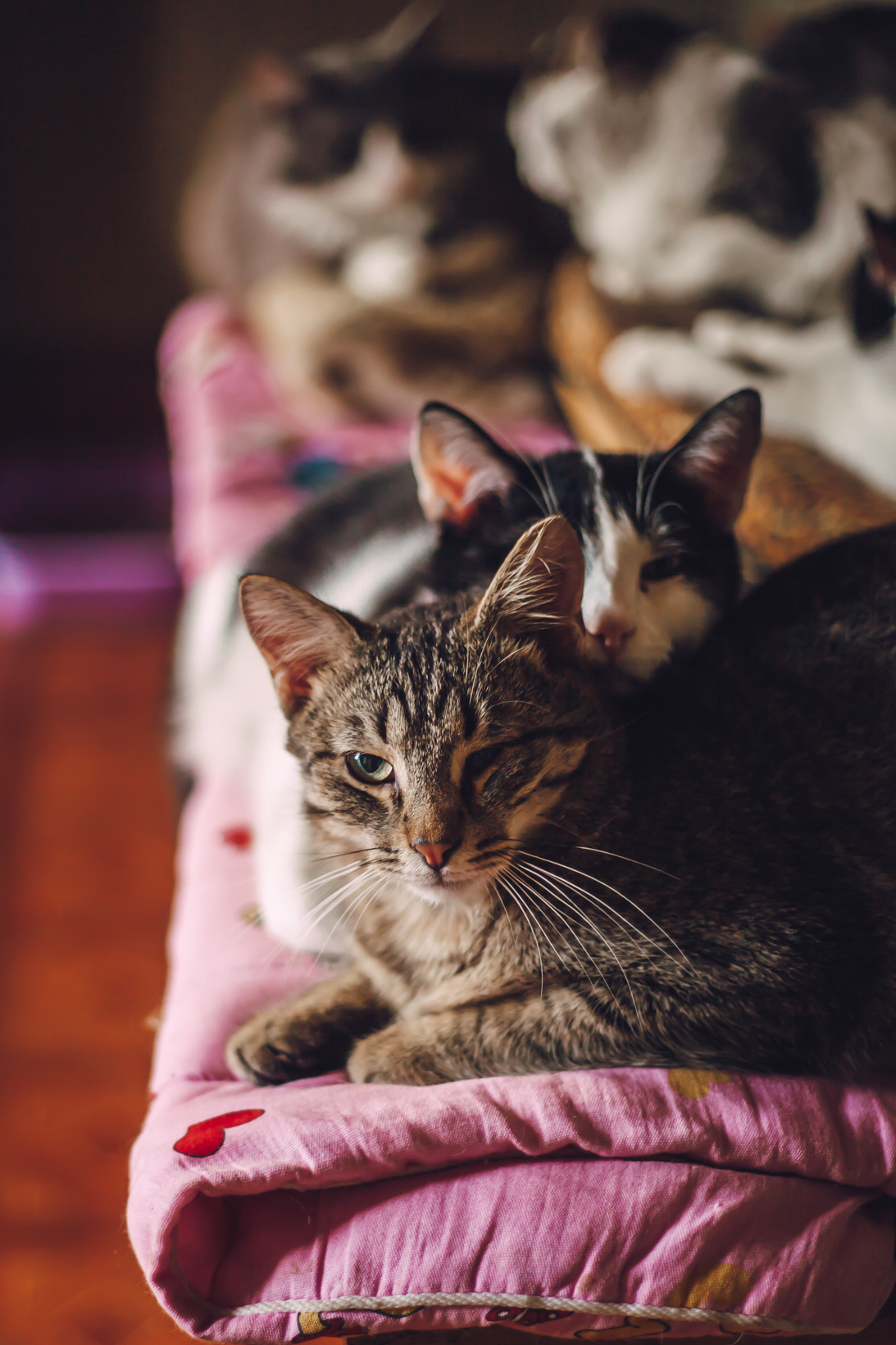 Подарок судьбы в Ульяновске. Фотограф в Ульяновске Елена Орлова