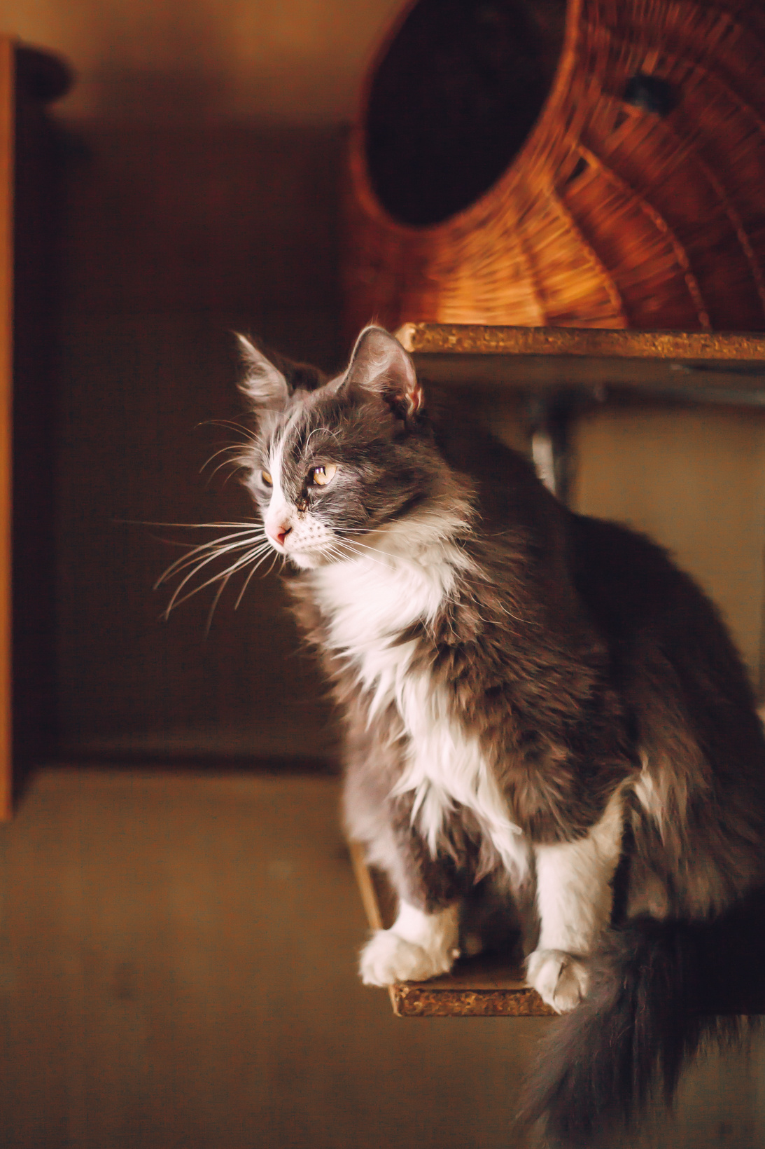 Подарок судьбы в Ульяновске. Фотограф в Ульяновске Елена Орлова