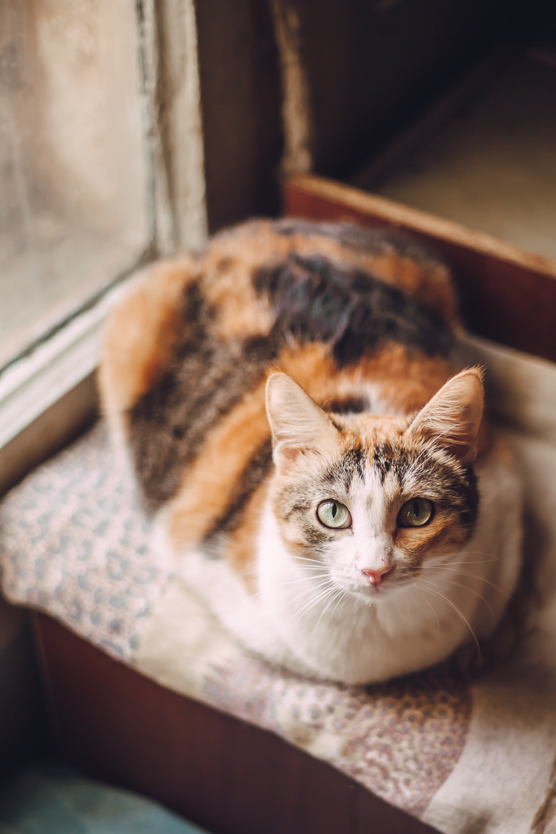 Подарок судьбы в Ульяновске. Фотограф в Ульяновске Елена Орлова