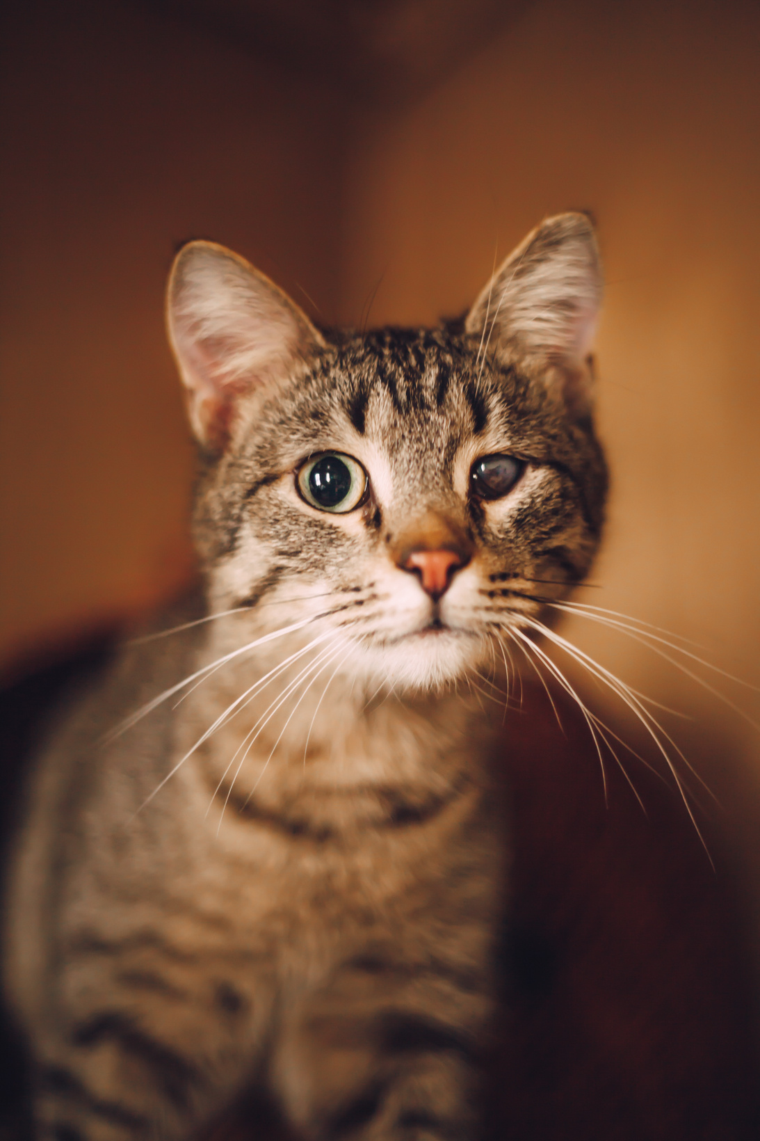 Подарок судьбы в Ульяновске. Фотограф в Ульяновске Елена Орлова