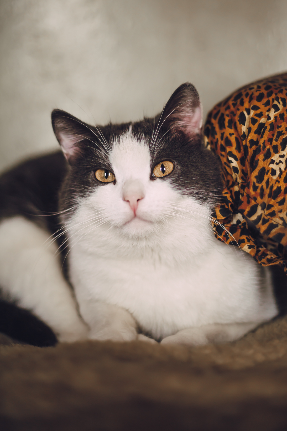 Подарок судьбы в Ульяновске. Фотограф в Ульяновске Елена Орлова