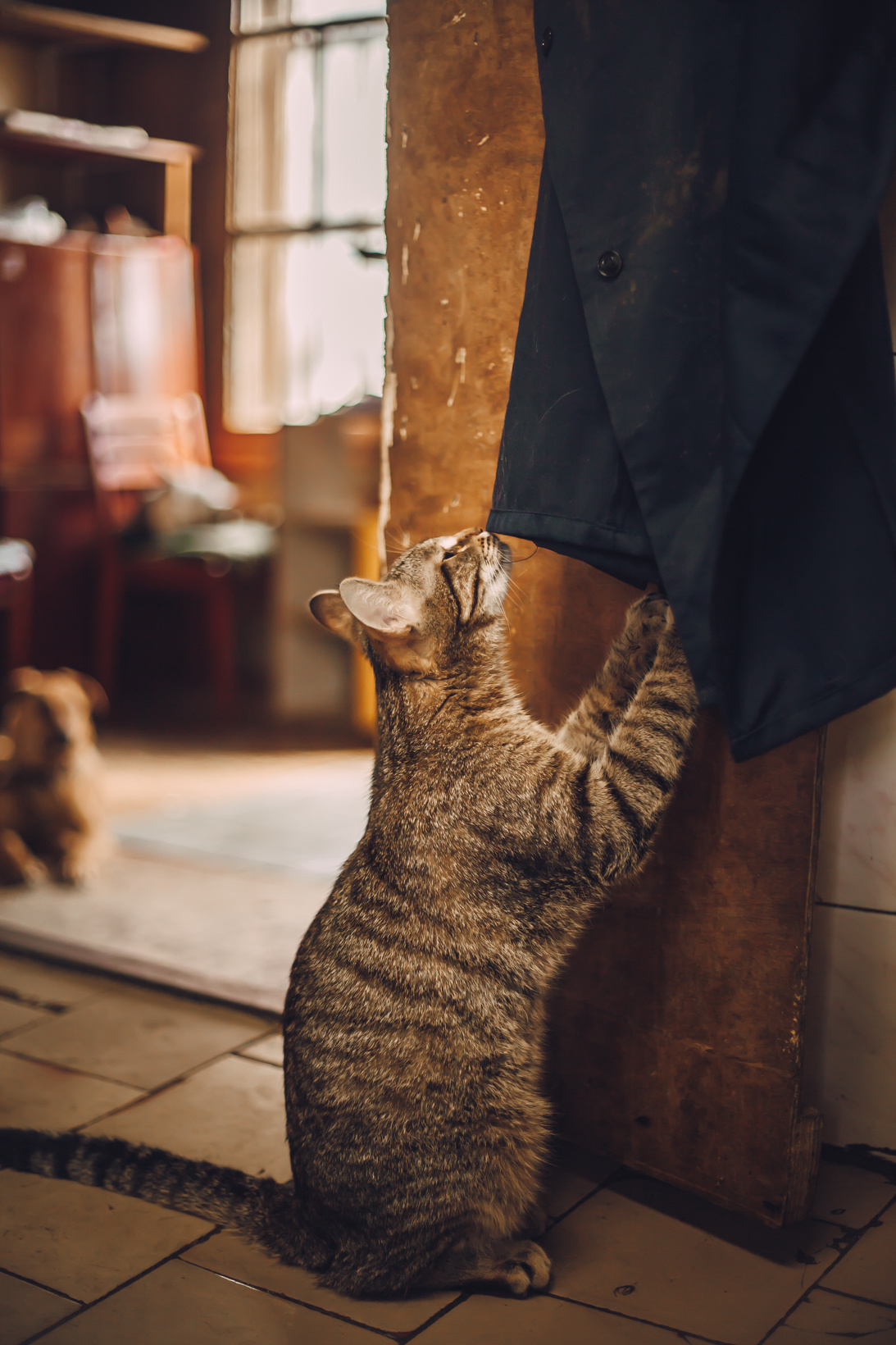 Подарок судьбы в Ульяновске. Фотограф в Ульяновске Елена Орлова