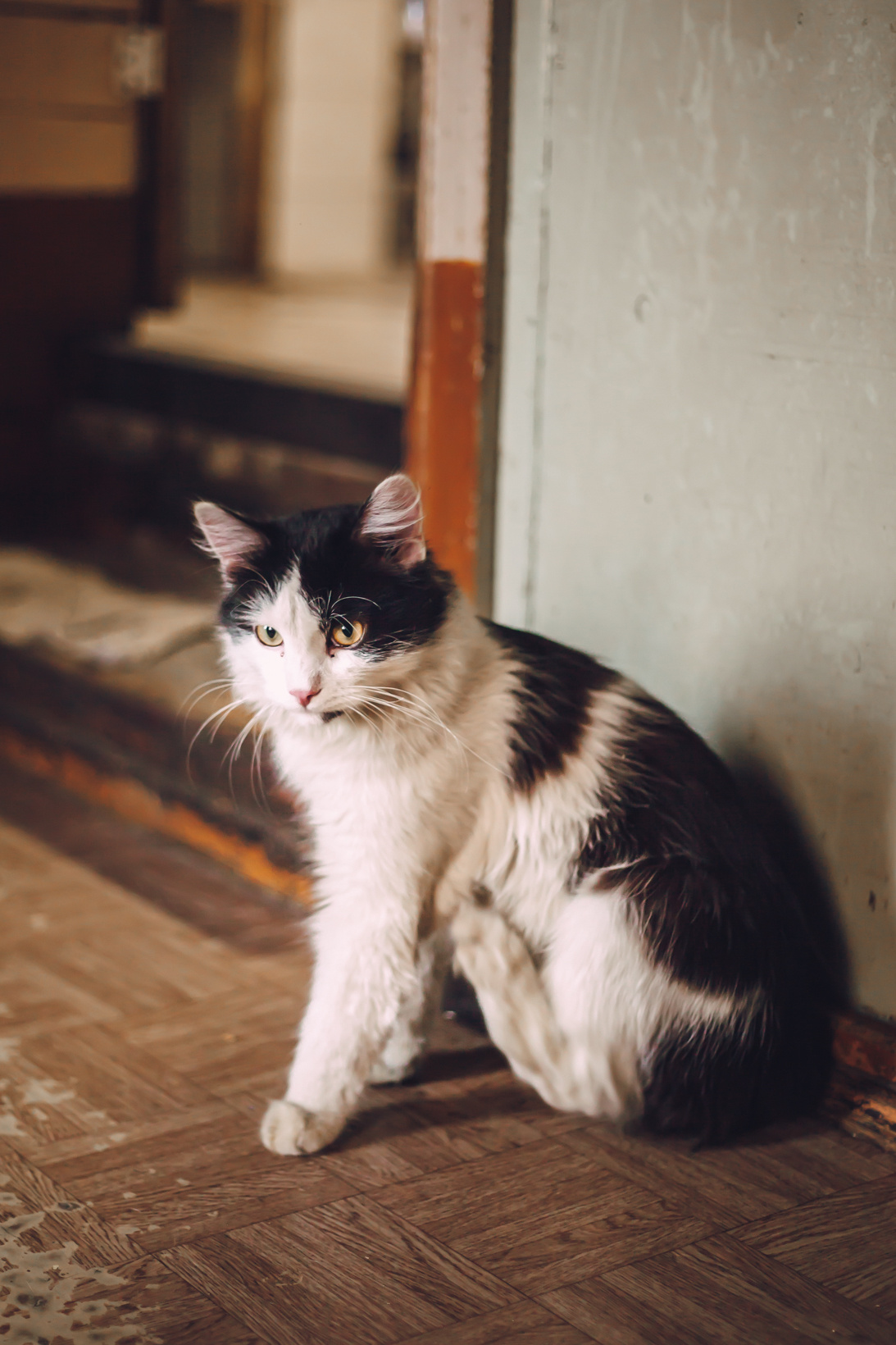 Подарок судьбы в Ульяновске. Фотограф в Ульяновске Елена Орлова