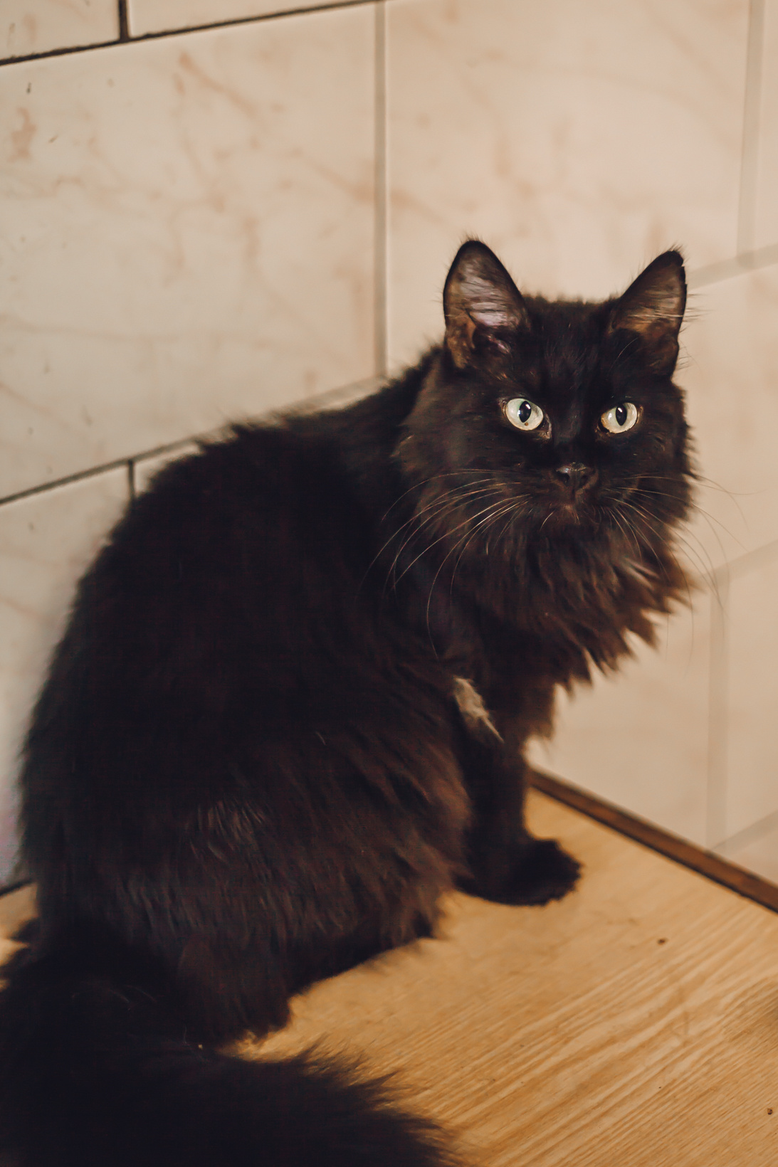 Подарок судьбы в Ульяновске. Фотограф в Ульяновске Елена Орлова