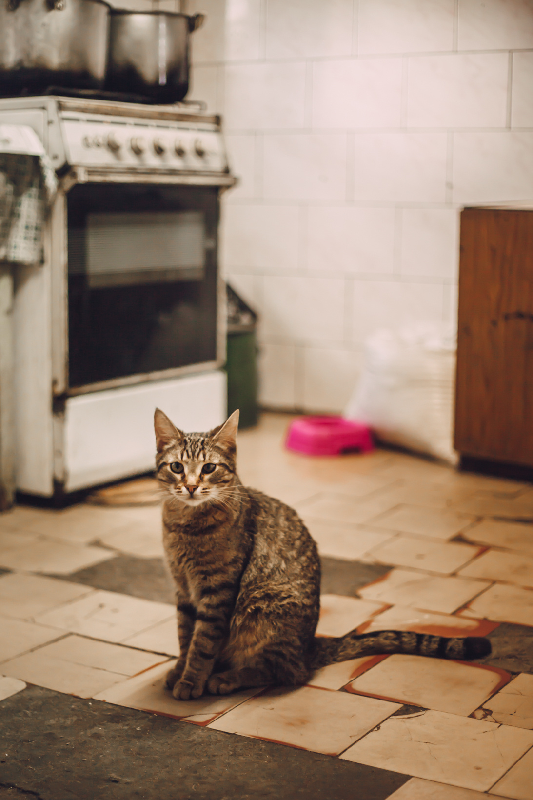 Подарок судьбы в Ульяновске. Фотограф в Ульяновске Елена Орлова