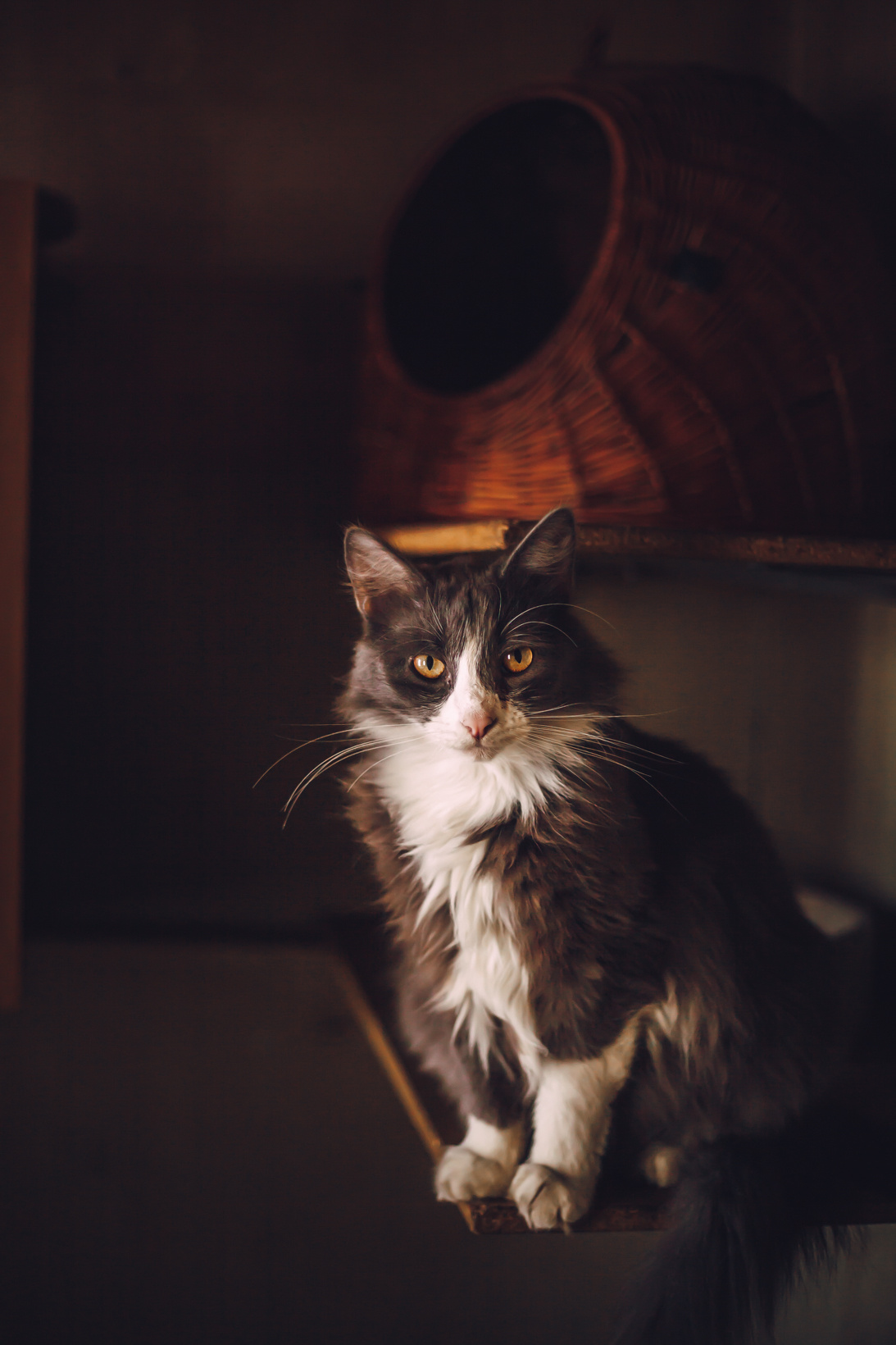 Подарок судьбы в Ульяновске. Фотограф в Ульяновске Елена Орлова