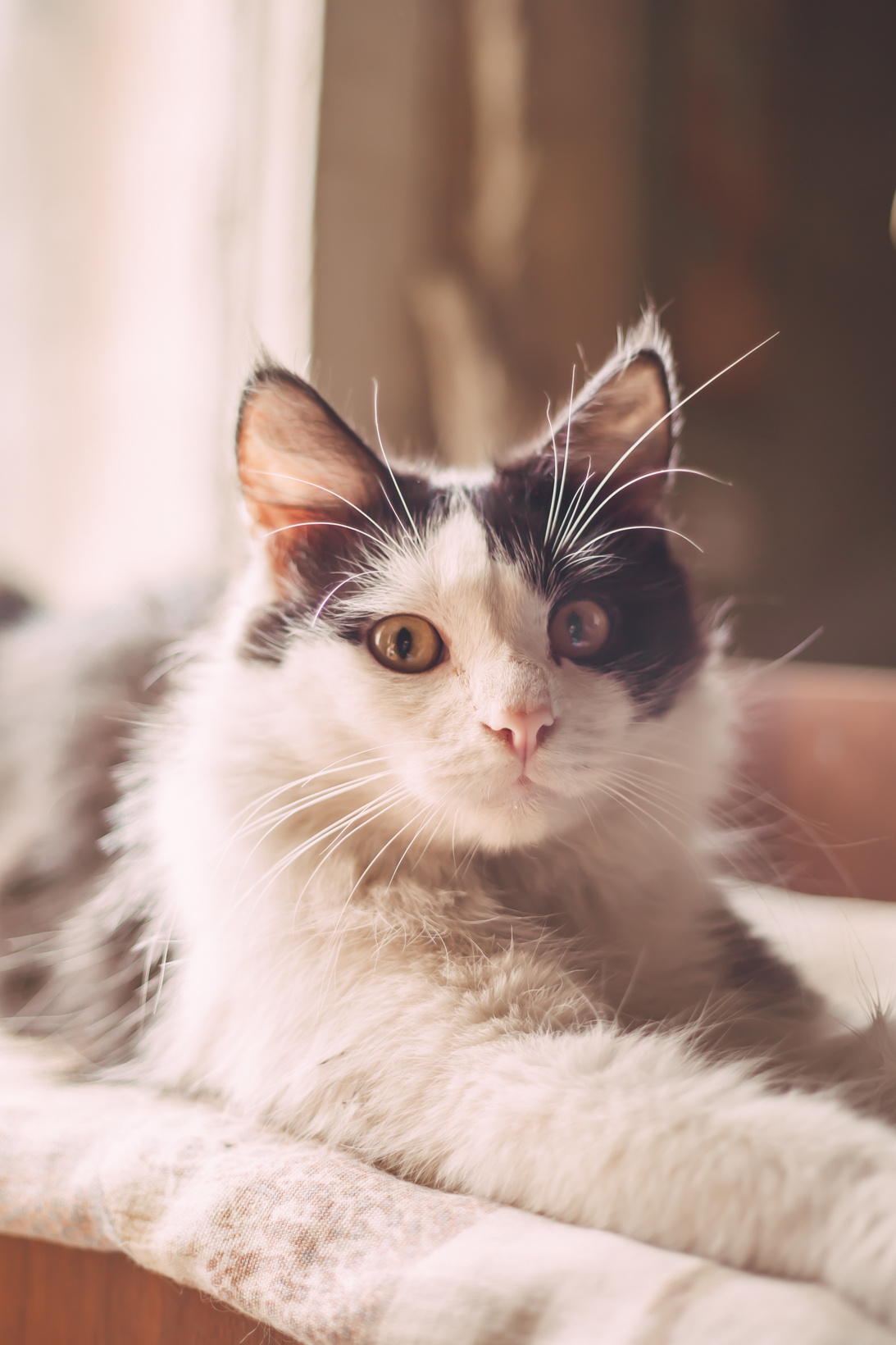 Подарок судьбы в Ульяновске. Фотограф в Ульяновске Елена Орлова