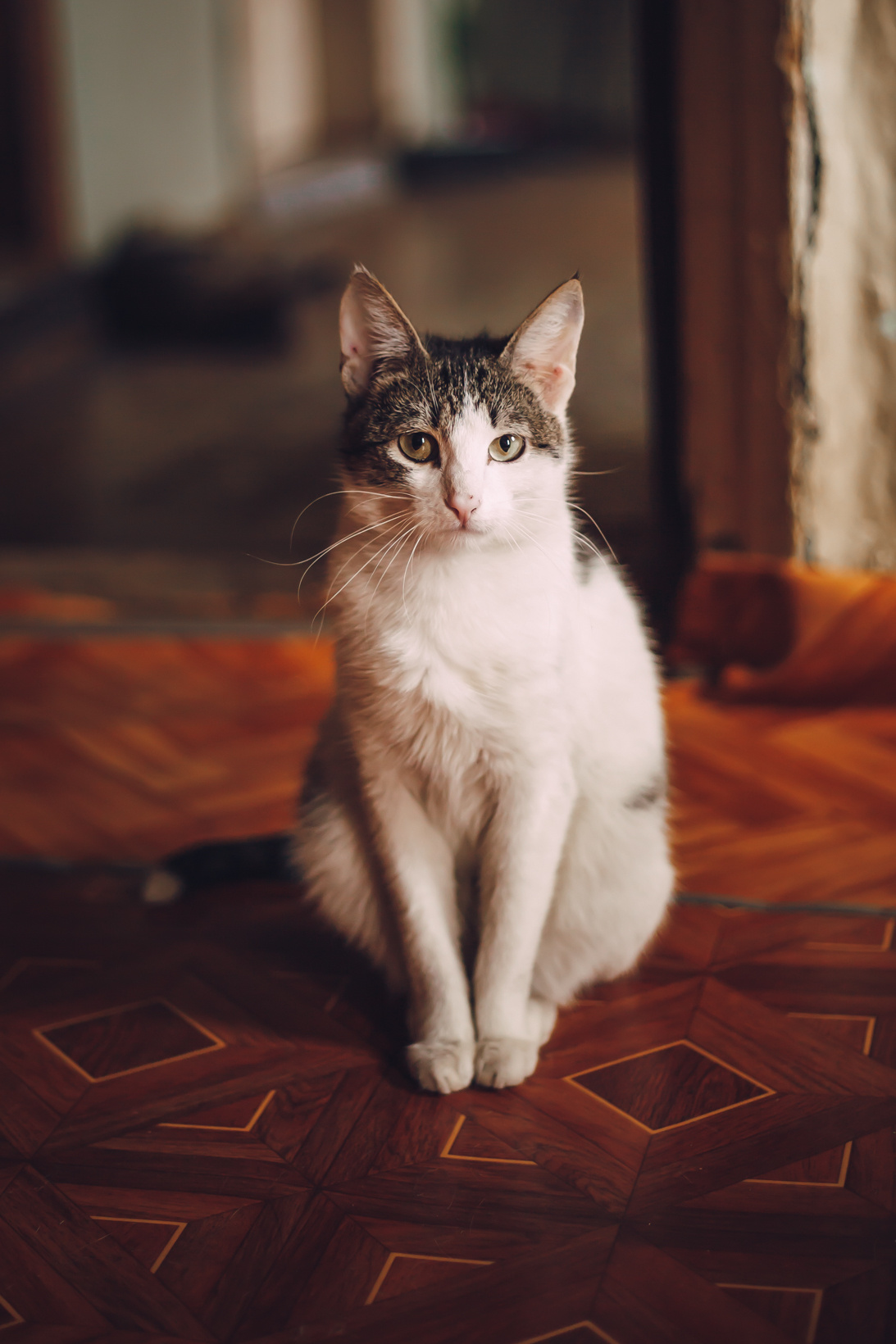 Подарок судьбы в Ульяновске. Фотограф в Ульяновске Елена Орлова