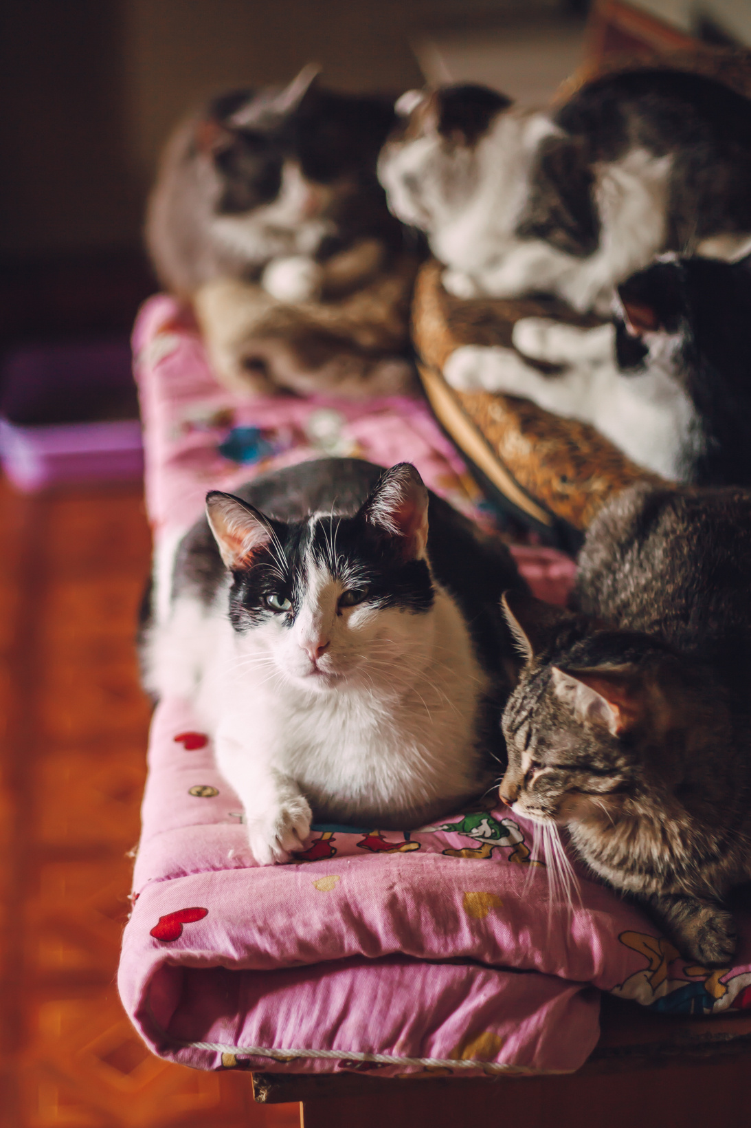 Подарок судьбы в Ульяновске. Фотограф в Ульяновске Елена Орлова