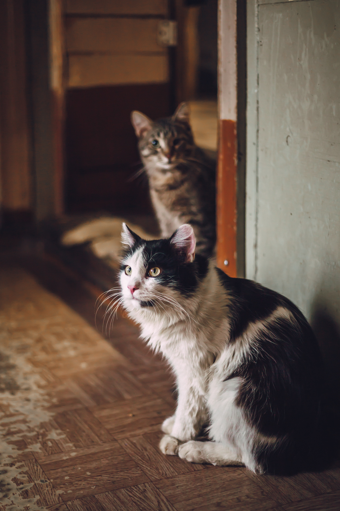 Подарок судьбы в Ульяновске. Фотограф в Ульяновске Елена Орлова
