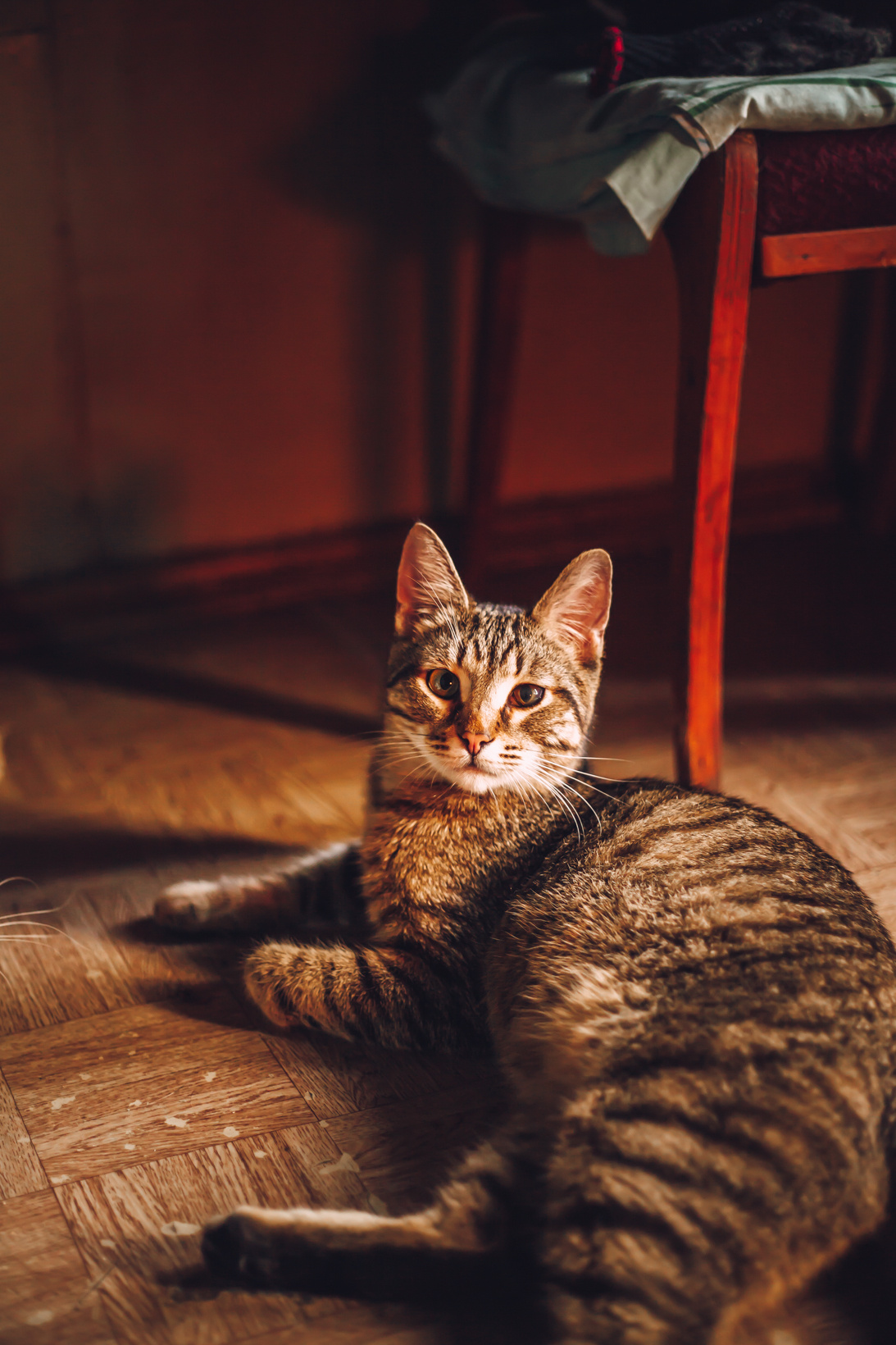 Подарок судьбы в Ульяновске. Фотограф в Ульяновске Елена Орлова