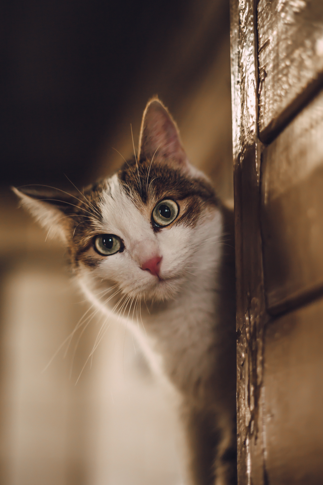 Подарок судьбы в Ульяновске. Фотограф в Ульяновске Елена Орлова