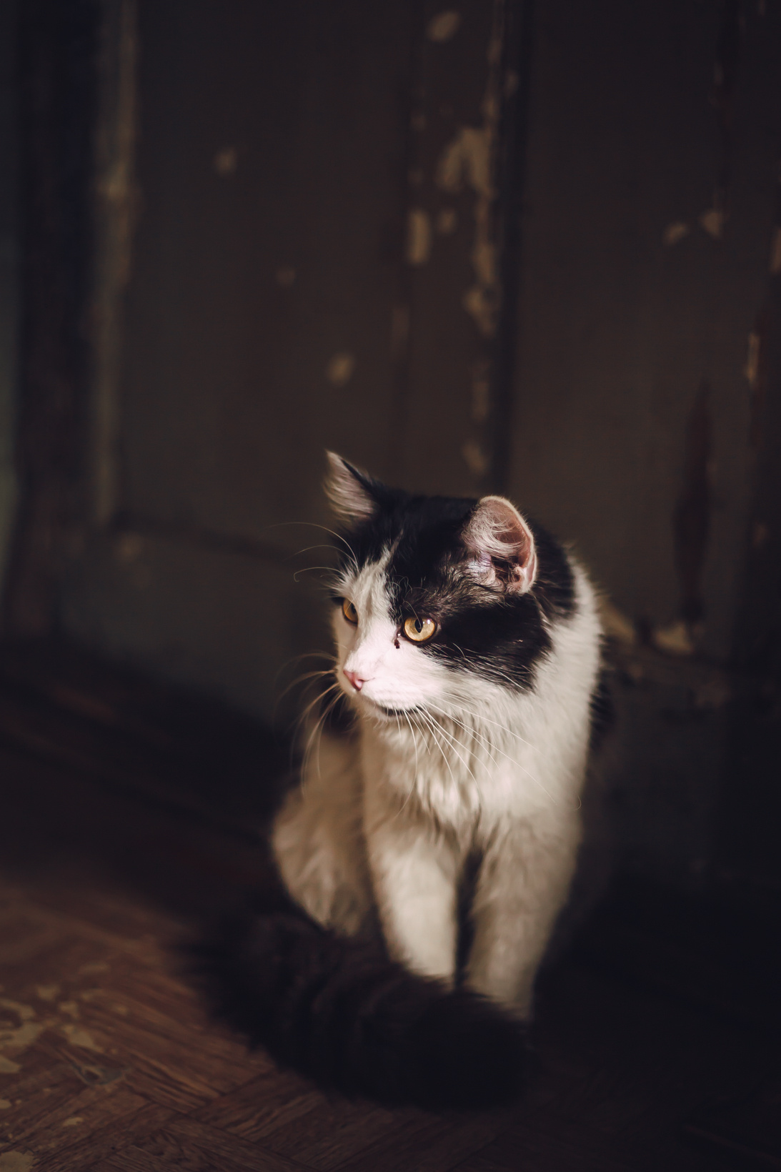 Подарок судьбы в Ульяновске. Фотограф в Ульяновске Елена Орлова