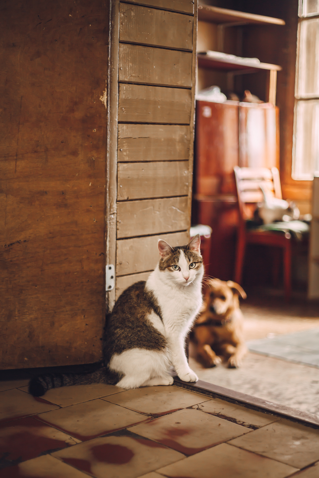 Подарок судьбы в Ульяновске. Фотограф в Ульяновске Елена Орлова