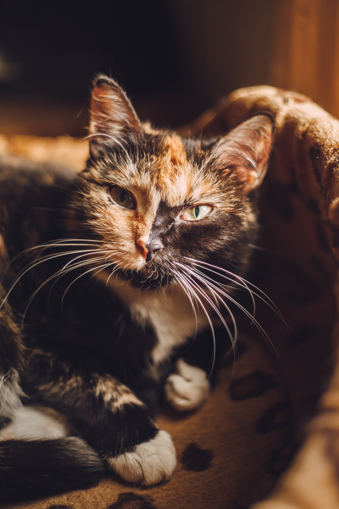 Подарок судьбы в Ульяновске. Фотограф в Ульяновске Елена Орлова