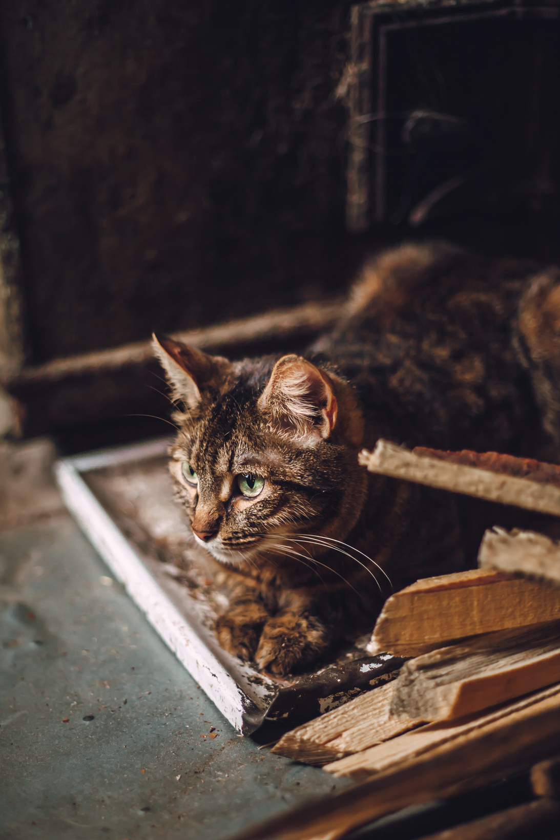 Подарок судьбы в Ульяновске. Фотограф в Ульяновске Елена Орлова